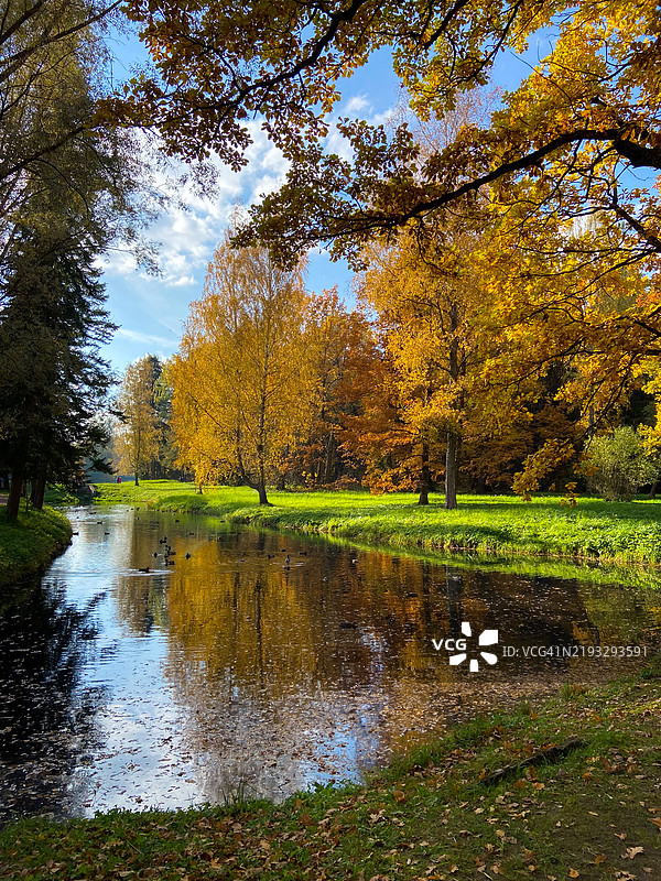 秋季湖泊风景图片素材