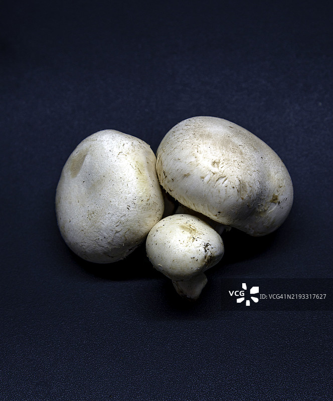 桌子上的蘑菇特写图片素材