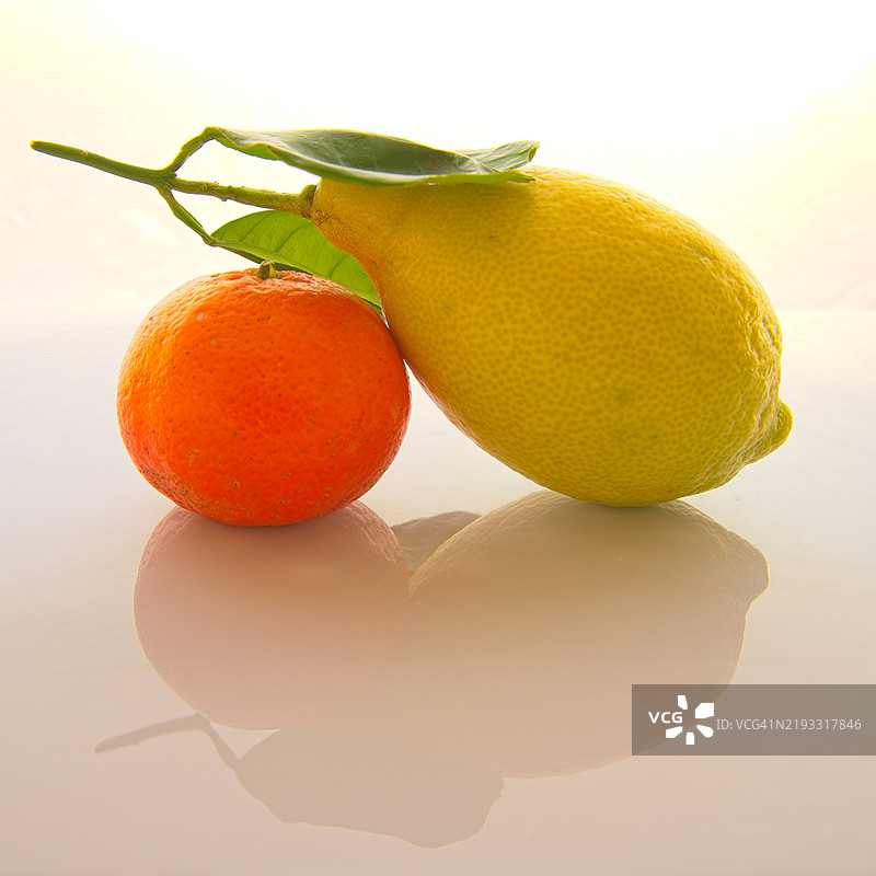 橙子特写，背景为白色图片素材