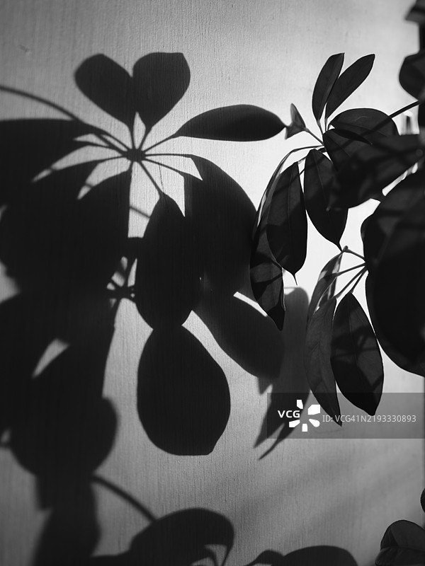 墙上的光与影图片素材