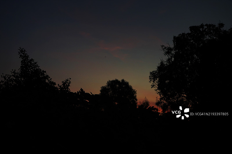 夜晚的灌木树与蓝天中的白云自然背景图片素材