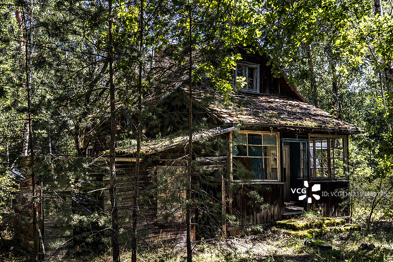 森林中的废弃房屋遗迹图片素材
