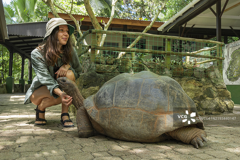 年轻女性抚摸巨型海龟图片素材