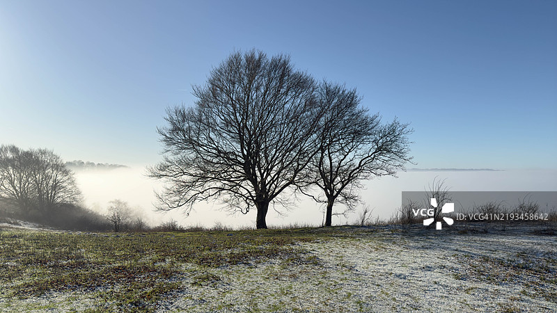 冬季的邓斯特布尔高地图片素材