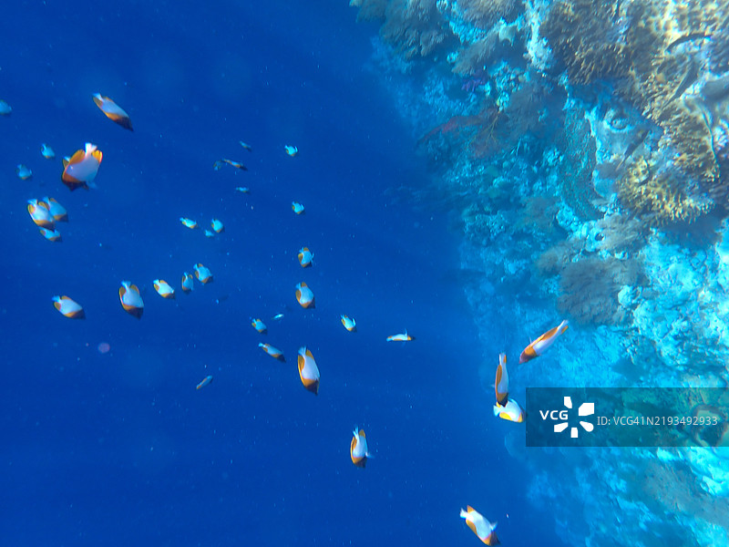 俯瞰巴劳岩岛的大跌落图片素材