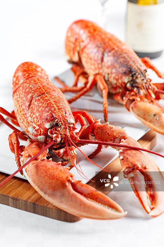 晚餐桌上的龙虾，搭配白葡萄酒。图片素材