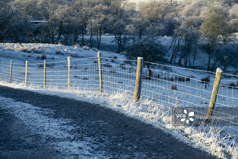 冬晨霜冻覆盖的铁丝围栏图片素材