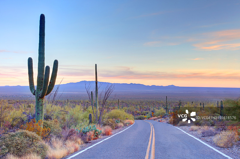 亚利桑那州沙漠公路图片素材