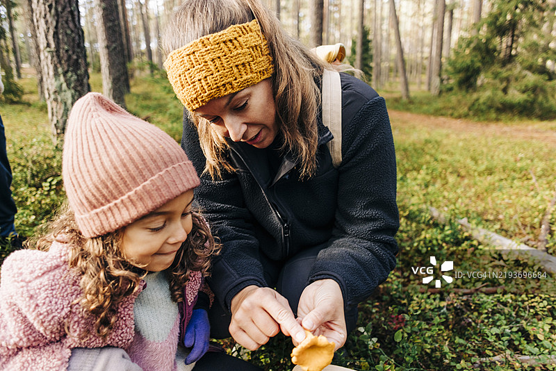 母亲在秋季森林中采集时向女儿展示鸡油菌。图片素材