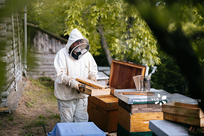 在阳光明媚的乡村花园中，养蜂人正在处理蜂箱图片素材