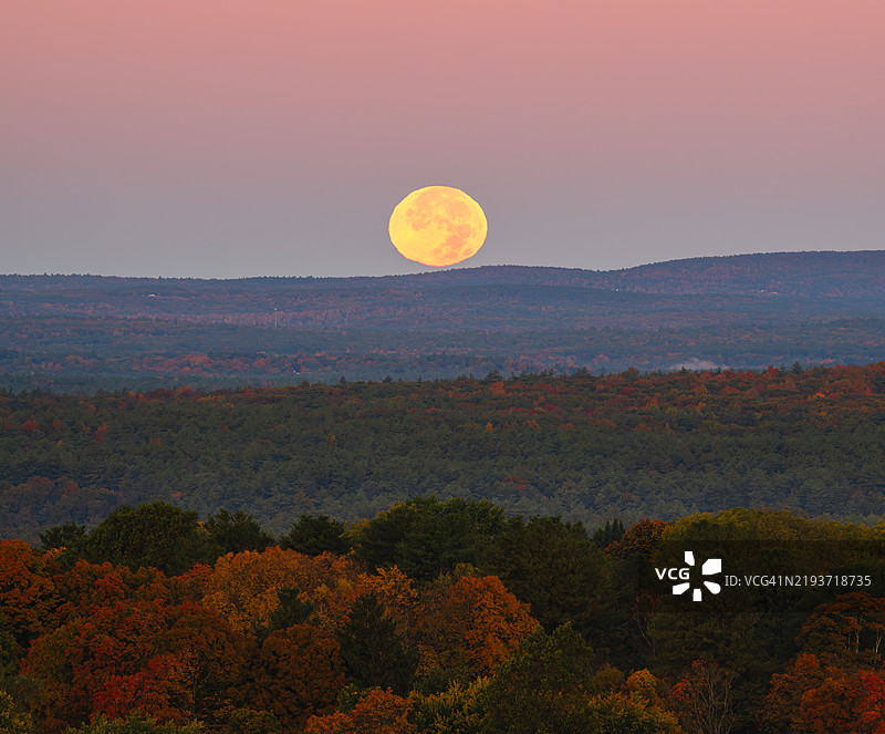 马萨诸塞州，美国，日落时分树木与天空的美丽景色图片素材