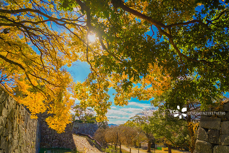 秋天的美景与历史悠久的石墙图片素材