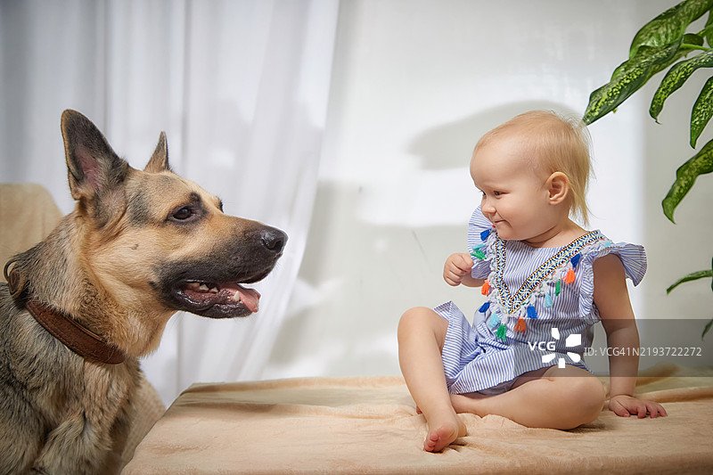 一个穿着蓝白条纹裙子的幼女坐在棕色毛毯上，身边有她的宠物狗。图片素材