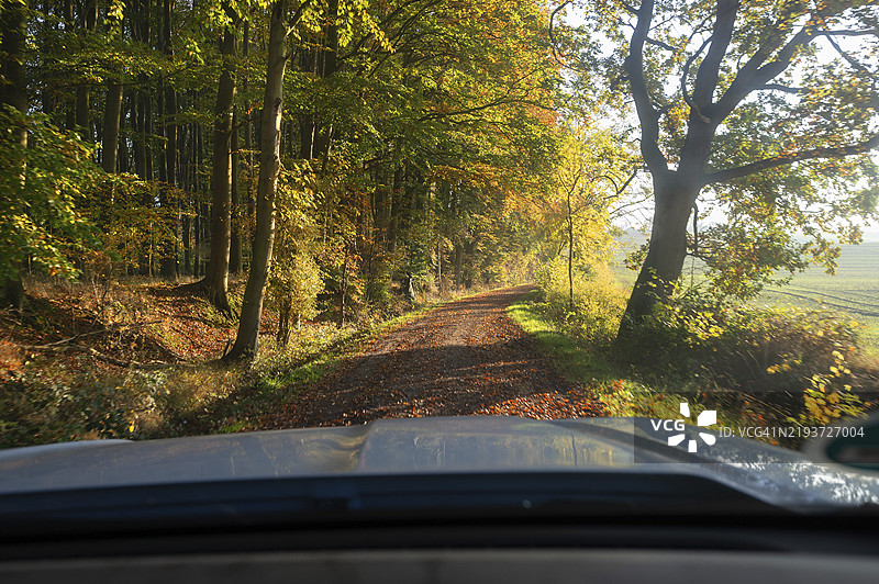 在德国梅克伦堡-前波美拉尼亚的秋季森林中晨间驾车行驶图片素材