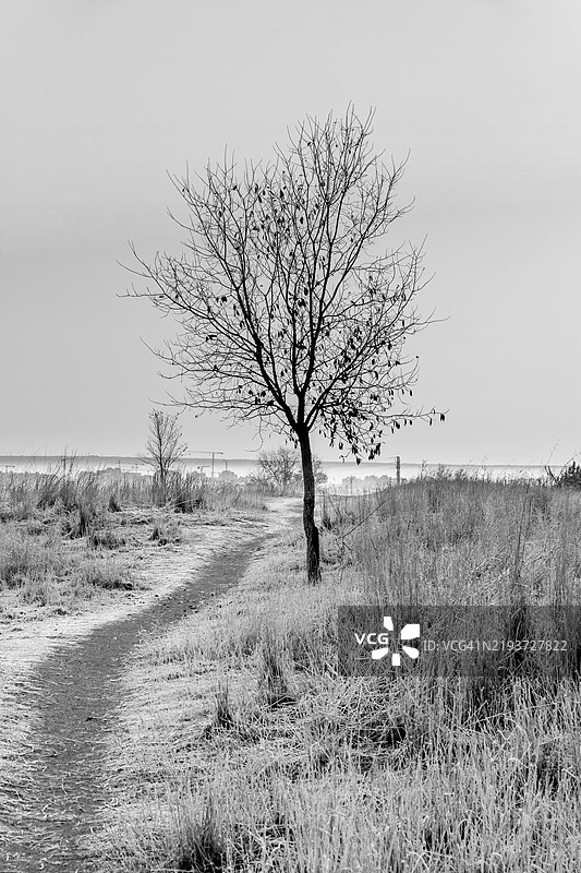 郊区的寒冷早晨图片素材
