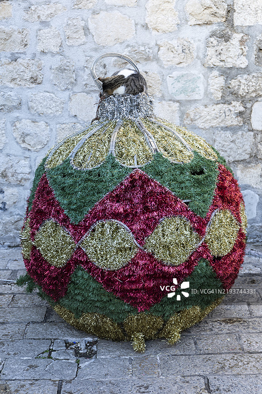 圣诞装饰，猫咪在一个大圣诞树球上睡觉，科托尔，黑山，欧洲图片素材