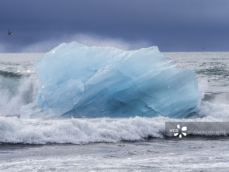 钻石海滩，冲浪中的冰山，靠近约库萨尔龙冰川湖，瓦特纳冰川国家公园，霍尔纳峡湾，南冰岛，冰岛，欧洲图片素材