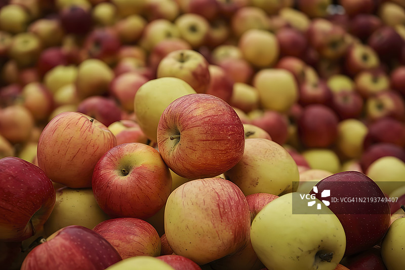 苹果的全景特写图片素材