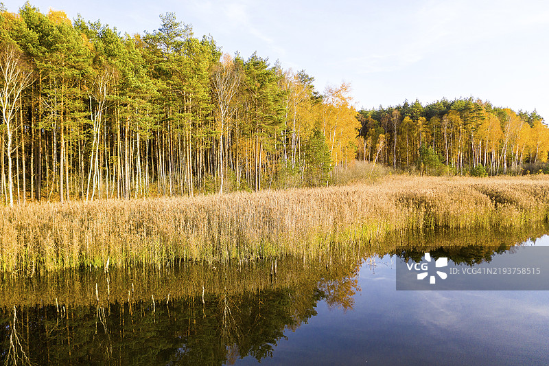 湖边的芦苇和秋叶树木倒映在德国萨克森州劳斯尼茨的基督教步道附近的卢格拉本湖中。图片素材