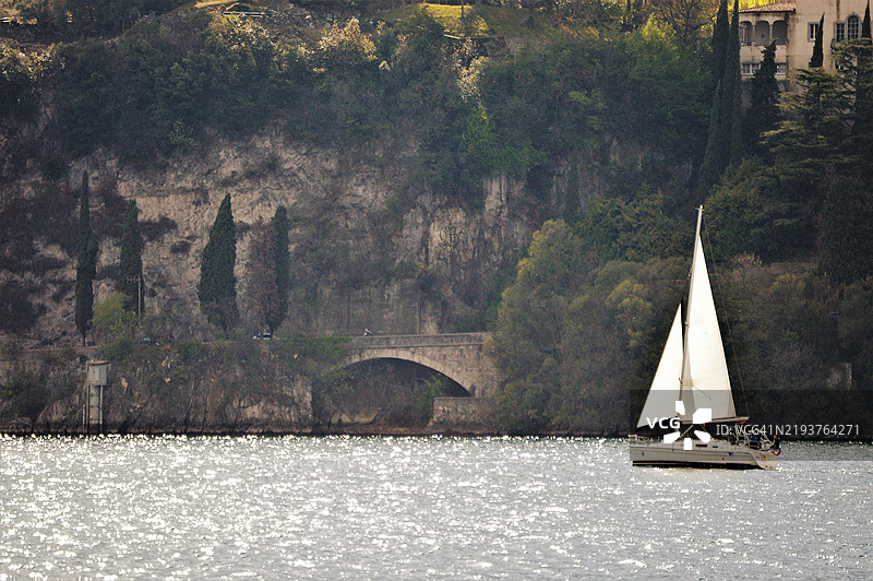 森林中的河流风景图片素材