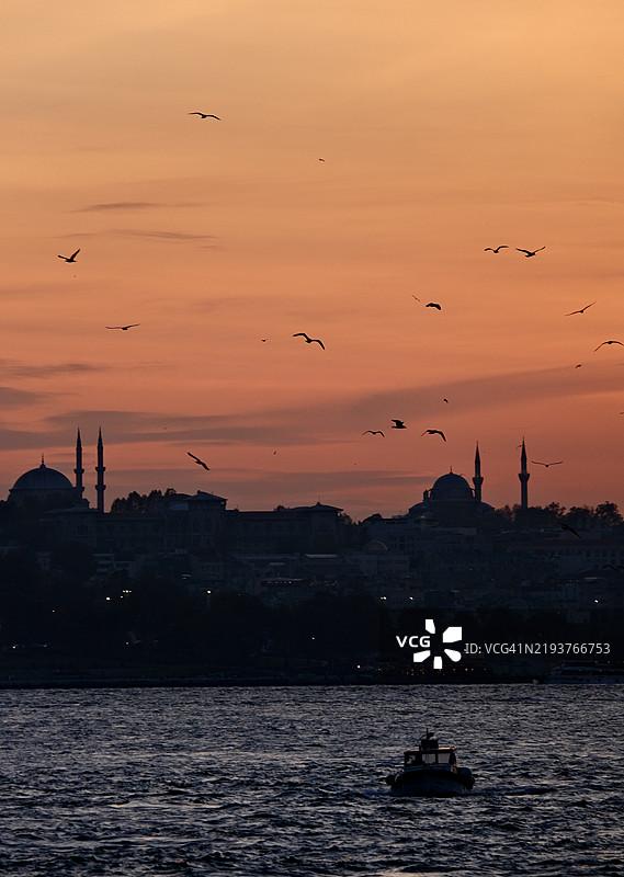 橙色天空下，海面上飞翔的鸟类剪影图片素材
