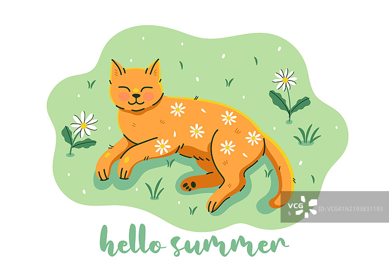可爱的姜黄色猫咪肚子上有雏菊，正在睡觉。矢量图形。图片素材