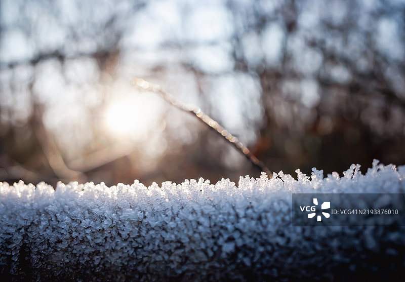 树枝上的霜图片素材