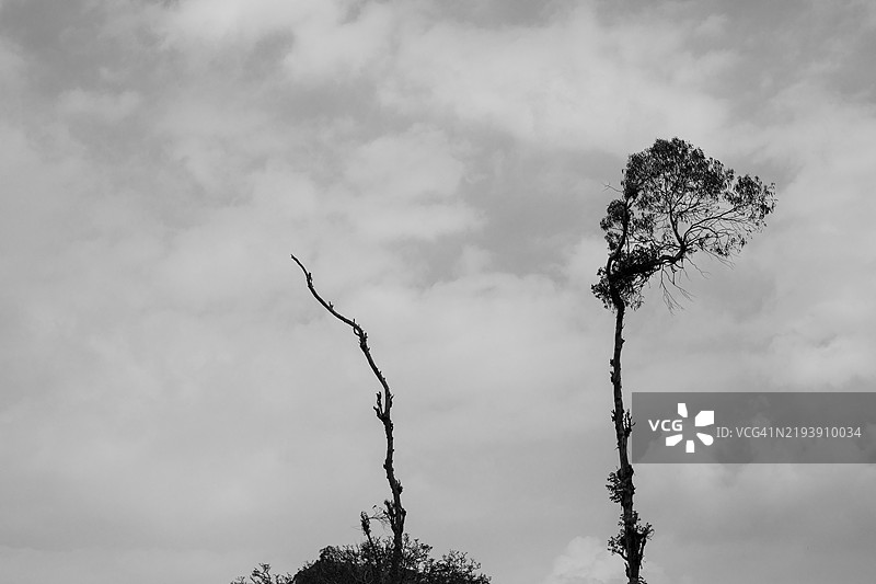 极简印度自然风景，泰米尔纳德邦图片素材