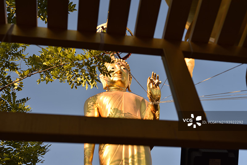 在芭堤雅的农雅寺佛像图片素材