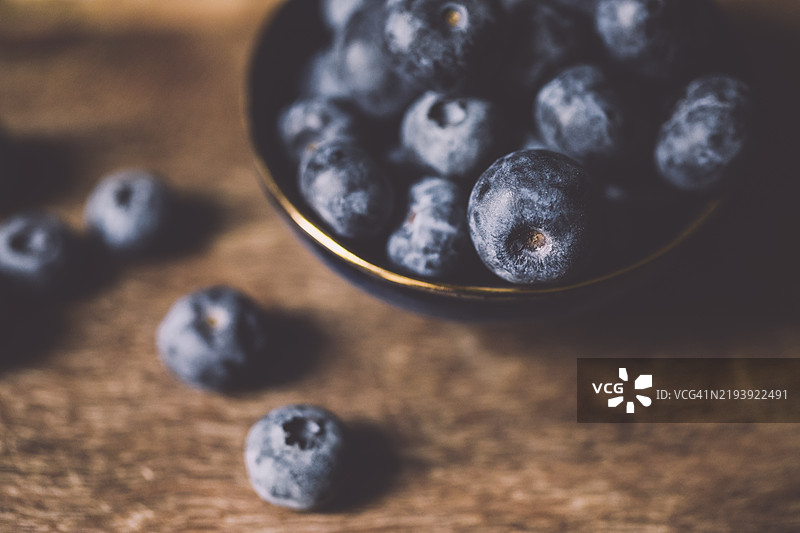 蓝莓静物画图片素材