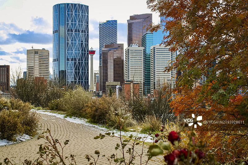 树叶框架下的卡尔加里图片素材