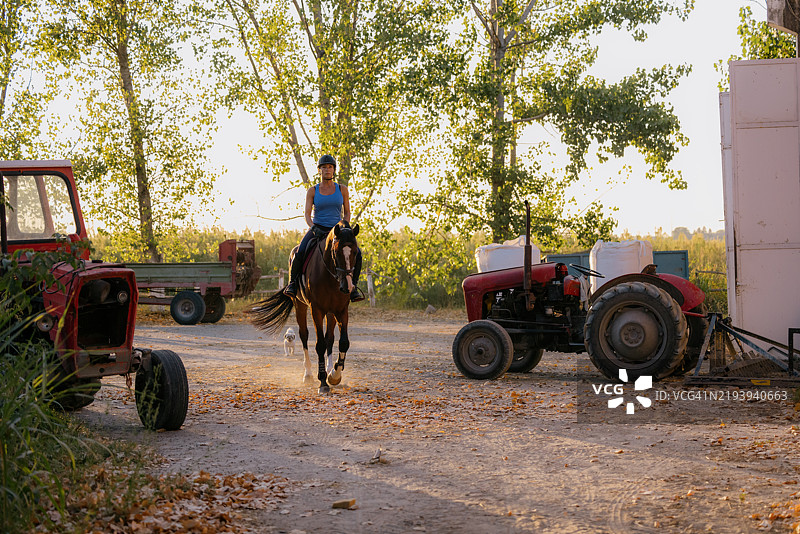 黄昏时分，女人骑马穿过农场，周围有拖拉机。图片素材