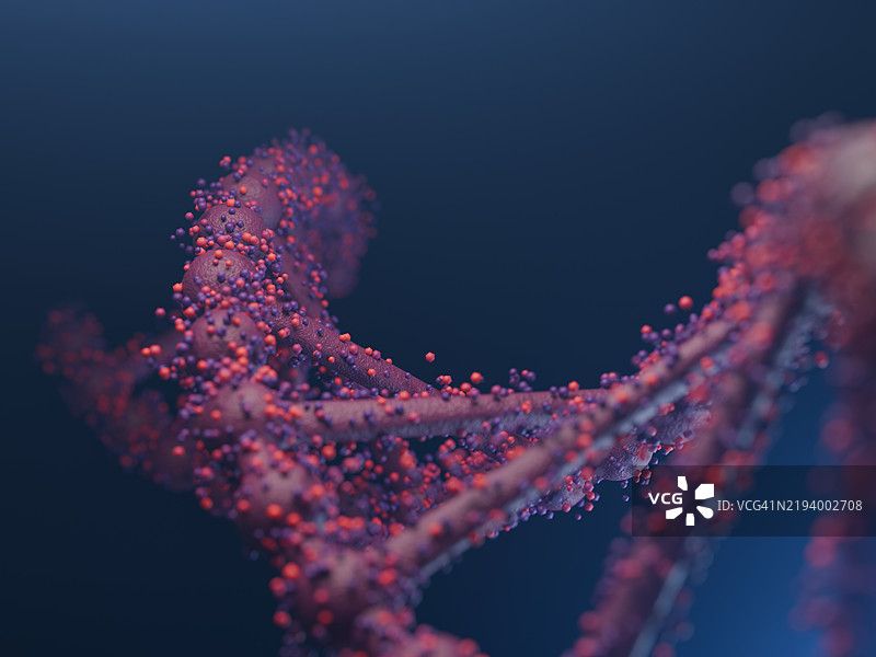 DNA链染色体图片素材