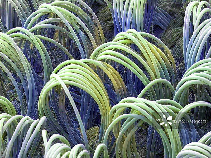 防水材料，扫描电子显微镜图片素材