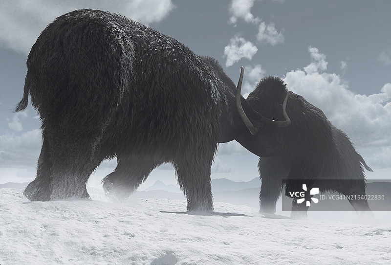 猛犸象搏斗的艺术作品图片素材