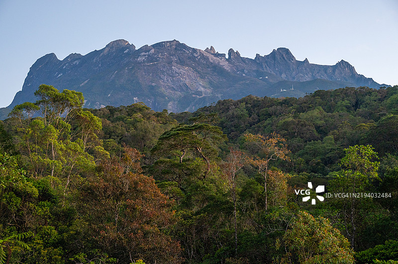 从位于马来西亚婆罗洲沙巴西海岸的基纳巴卢公园可以看到马来西亚最高的山脉——基纳巴卢山。图片素材