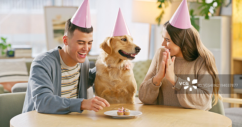 情侣、蛋糕和微笑，和狗一起庆祝生日，在公寓里共度时光。家里的宠物、动物和人们一起庆祝收养纪念日，享用小吃，支持与金毛猎犬的生活。图片素材