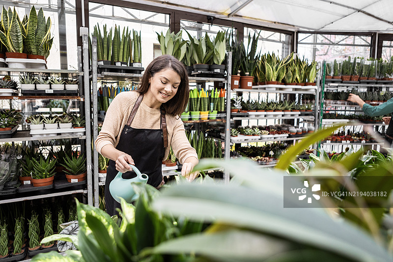 温室中照料植物的园艺专家图片素材