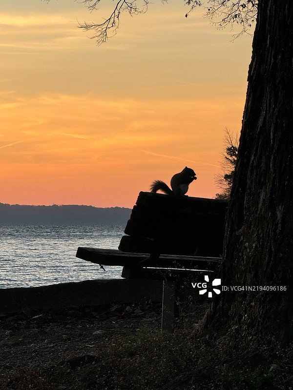 日落时分，坐在海滩上的男人剪影，田纳西州纳什维尔，美国图片素材