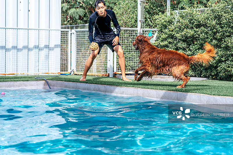 男性主人正在和金毛寻回犬玩耍图片素材