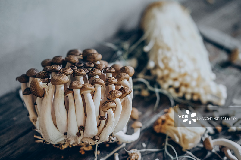亚洲蘑菇。来自农贸市场的收获。图片素材