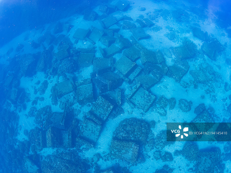 一个奇特的鱼礁位于水下20米深处。它属于鲍鱼（Haliotis）、角螺（Turbo sazae）和其他贝类。地点：静冈县伊豆半岛南伊豆中木的平藏滨海滩 - 2024年。图片素材