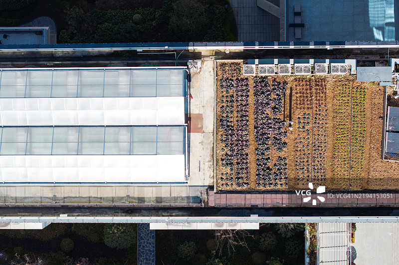 宿舍楼顶的农田鸟瞰图图片素材