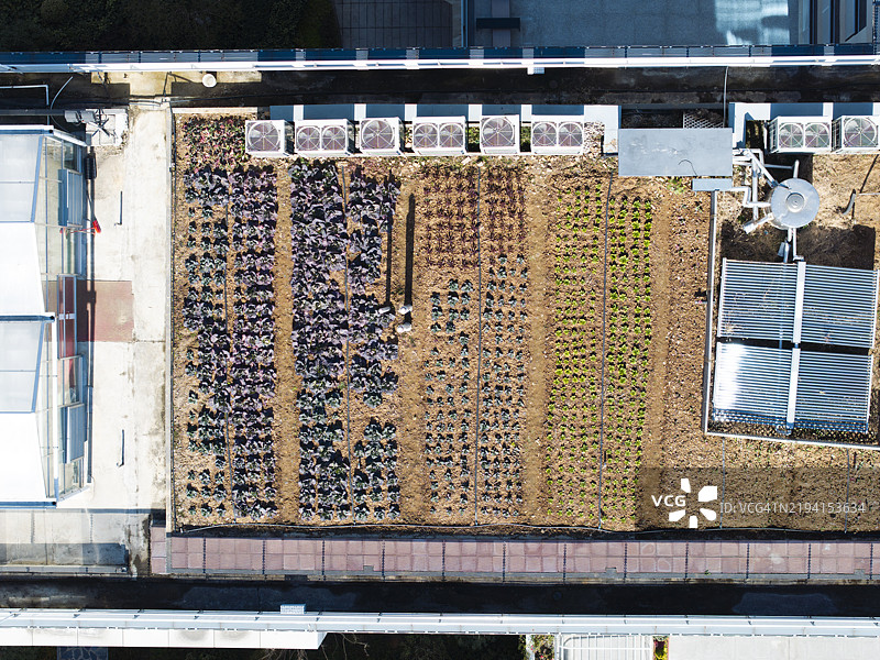 宿舍楼顶的农田鸟瞰图图片素材
