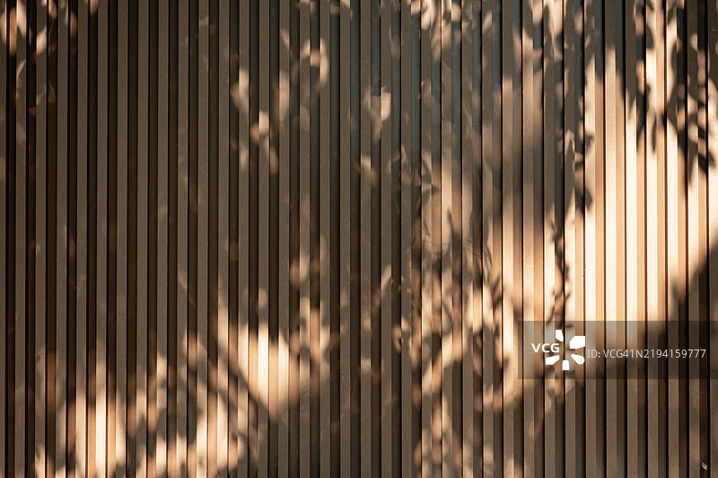 阳光斑驳的温暖木墙图片素材