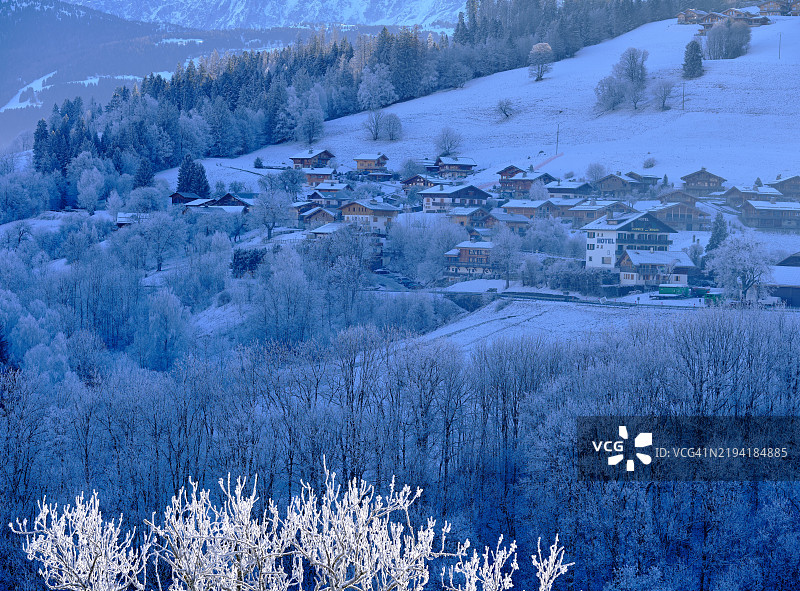 哈姆雷特在寒冷的风景中图片素材