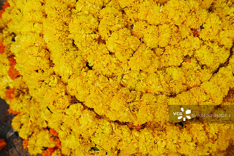 印度街头出售的黄色藏红花花环，用于宗教仪式，花卉背景图片素材