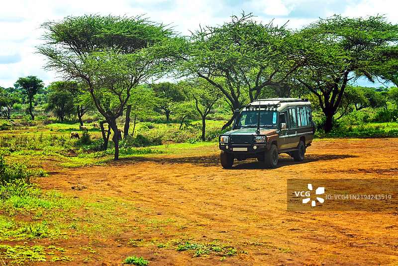 肯尼亚安博塞利国家公园的非洲金合欢树和停放的野生动物园车辆图片素材