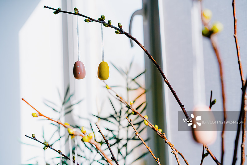 春天的树枝装饰着明亮室内环境中的复活节彩蛋图片素材