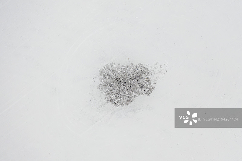 德国萨克森州一片被雪覆盖的树木的鸟瞰图图片素材